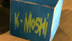 KAMOSHI multisystem